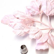 Vintage Pale Pink Velvet Rose Leaves